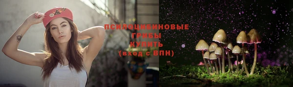дживик Алексеевка