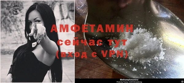 ПСИЛОЦИБИНОВЫЕ ГРИБЫ Белая Холуница