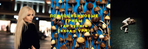 гашик Арсеньев