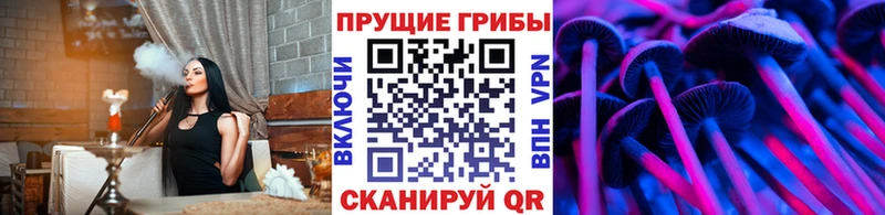 купить наркотик  Кубинка  Псилоцибиновые грибы прущие грибы 